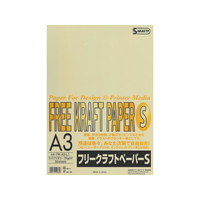 SAKAEテクニカルペーパー SAKAETP/フリークラフトペーパーS A3 ライトアイボリー 50枚×10冊 FC48262-FK-A3-LI