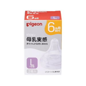 ピジョン 母乳実感 乳首 6ヵ月 Lサイズ 2個入 FCJ804N-イメージ1
