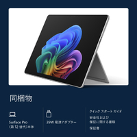 マイクロソフト EP2-71937 Surface Pro(第 12 世代) 13インチ