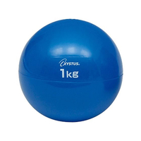 トーエイライト ソフトメディシンボール 1kg 直径12cm FC165RA-H-7250