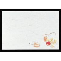 マイン 四季紙 千寿 100枚入 M30-210 ほおずき FC706LR-6068800