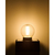エルパ LED電球 E26口金 全光束550lm(3．8W ミニボール電球形) 電球色相当 LDG4CL-G-F654-イメージ4