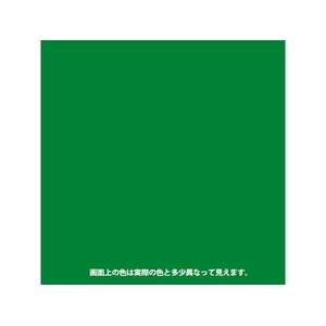 カンペハピオ カンペラッカースプレーA きみどり 300ml FCB063N-イメージ2