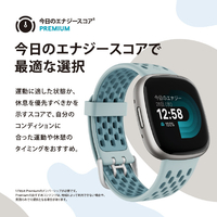 エディオンネットショップ|Fitbit FB523RGRWFRCJK スマートウォッチ L