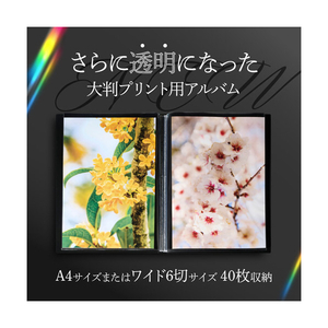 ハクバ プロフェッショナルプリントアルバム V (A4(タテ)サイズ 40枚収納) ブラック ADP5-A4TBK-イメージ2