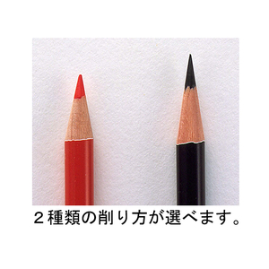 サンスター ダブル削器 セクト ピンク ピンク1個 F820666-4306-511-イメージ2