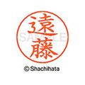 シヤチハタ ネームペン用ネーム シルバー 既製 遠藤 FC46222-X-GPS-0451