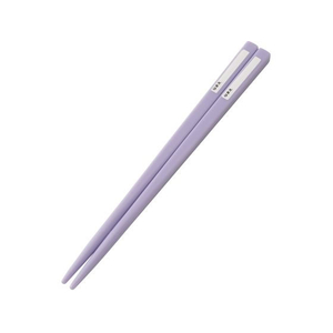 スケーター ランチ5点セット クロミファンシー FCF861N-974478-イメージ5