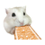 マルカン はむはむぴゅーれ ピーナッツ風味ささみペース 30g(5g×6本入) FC75288-MR-860-イメージ2