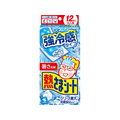 小林製薬 熱さまシート 強冷感 大人用 12枚 FCJ808N