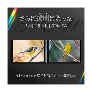 ハクバ プロフェッショナルプリントアルバム V (A4(ヨコ)サイズ 40枚収納) ブラック ADP5-A4YBK-イメージ2