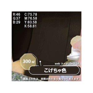 カンペハピオ カンペラッカースプレーA こげちゃ色 300ml FCB064N-イメージ3