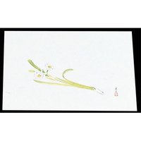 マイン 四季紙 萬寿 100枚入 M33-107 水仙 FC841LW-7961700