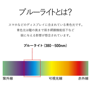 エレコム ブルーライト対策メガネ(リムレスタイプ) PC GLASSES グレー OG-YBLP01GY-イメージ7