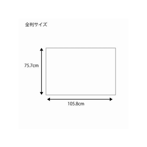 ヘイコー 包装紙 全判 窓銀 100枚 FC243SC-002352400-イメージ3