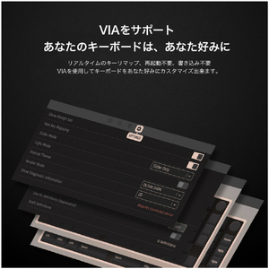 Mistel Barocco Mistel MD770PRO US (英語配列/ KTT Hyacinth軸) リニア (KT/HY)KTT Hyacinth軸 ML-MD770PRO-US-KT/HY-イメージ11