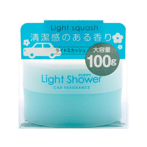 ダイヤケミカル ライトシャワー ライトスカッシュ 100g FC79268-7432-イメージ1
