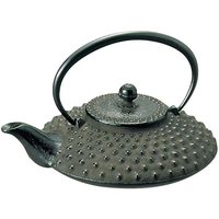 岩鋳 南部鉄 燗瓶 平 アラレ 0.5L 13001 FC115LE-1697000