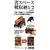 伊勢藤 省スペース靴収納1／2 ブラック FC721TE-I-634 BK-イメージ3