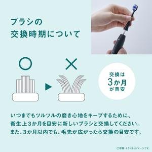 パナソニック 音波振動ハブラシ ドルツ ブラック EW-DA49-K-イメージ11