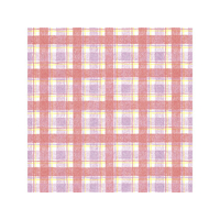 タカ印 包装紙 タータンチェック R 半才判(528×750mm) 50枚 FC25456-49-1156