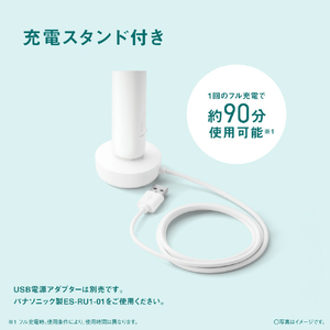 パナソニック 音波振動ハブラシ ドルツ ホワイト EW-DA19-W-イメージ8