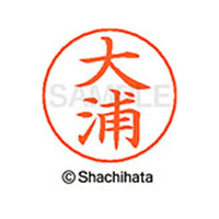シヤチハタ ネームペン用ネーム シルバー 既製 大浦 FC46231-X-GPS-0460