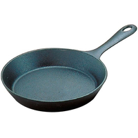 岩鋳 南部鉄 ファミリーパン 14cm 24014 FC484LE-1842600