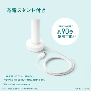 パナソニック 音波振動ハブラシ ドルツ ブルー EW-DA19-A-イメージ8