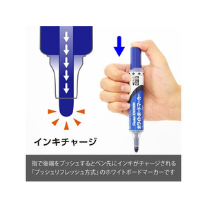 ぺんてる ホワイトボードマーカー ノックル 中字 青 10本 1箱(10本) F837939-EMWLM-C-イメージ3