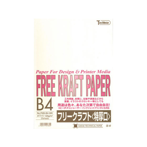 SAKAEテクニカルペーパー SAKAETP/フリークラフトペーパー 特厚口 B4 ホワイト 25枚×5冊 FC48277-FKB-B4-WK-イメージ1