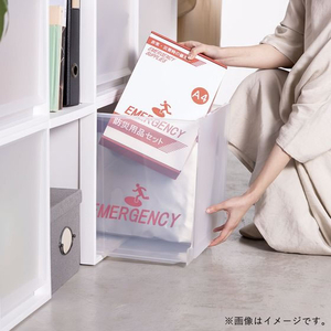天馬 Fits フィッツケース マルチ 幅35×奥行40×高さ40cm FCF723N-15671-イメージ2
