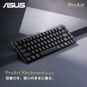 ASUS ProArt Keyboard KD300 ブラックエアロライト PROART_KEYBOARD_KD300-イメージ9