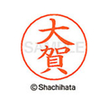 シヤチハタ ネームペン用ネーム シルバー 既製 大賀 FC46234-X-GPS-0463