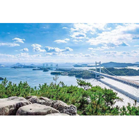 アップルワン 鷲羽山から瀬戸大橋 ｱﾂﾌﾟﾙ1000891ﾜｼﾕｳｻﾞﾝｾﾄｵｵﾊｼ