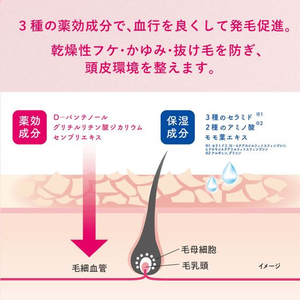 柳屋本店 セラプリエ 薬用育毛 頭皮しっとりローション 150ml FCD766M-イメージ4