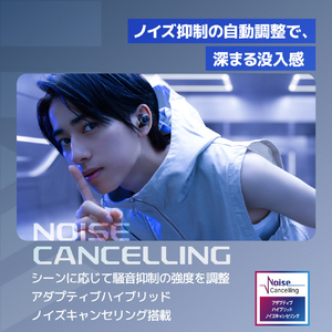 AVIOT AVIOT トゥルーワイヤレスイヤホン ダークシルバー TE-W2-SL-イメージ13