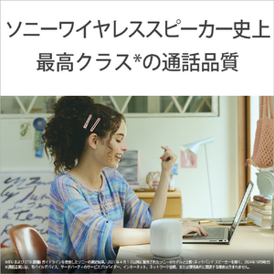 SONY ワイヤレスポータブルスピーカー LinkBuds Speaker ライトグレー SRS-LS1 H-イメージ6