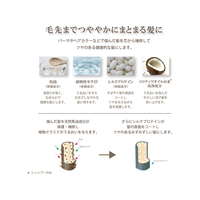 ジュン・コスメティック FC61767 ジュンコスメティック/馬油シャンプー