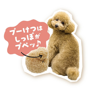 ドギーマンハヤシ プーけつボール ﾌﾟ-ｹﾂﾎﾞ-ﾙ-イメージ2