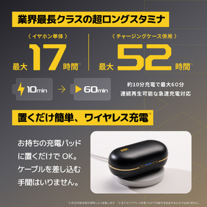 AVIOT AVIOT トゥルｰワイヤレスイヤホン ピエール中野 ブラック TE-W2-PNK-イメージ15