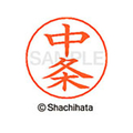 シヤチハタ ネームペン用ネーム シルバー 既製 中条 FC47224-X-GPS-1453