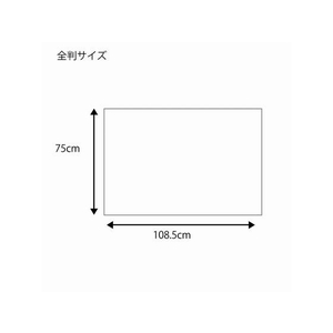 ヘイコー 包装紙 全判 エンプレスローズ 100枚 FC256SC-002353702-イメージ4