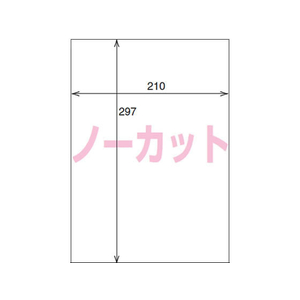 コクヨ 耐水紙ラベル A4 ノーカット 20枚 F874901-LBP-WP6900N-イメージ2