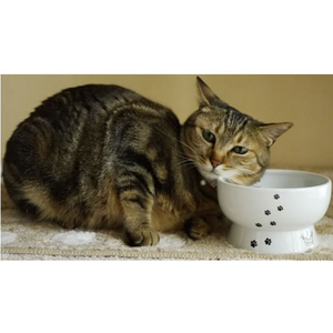 猫壱 ハッピーダイニング 脚付ウォーターボウル シリコン付き 猫柄 F360770-イメージ7