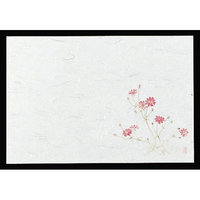 マイン 四季紙 千寿 100枚入 M30-212 秋桜 FC708LR-6069000