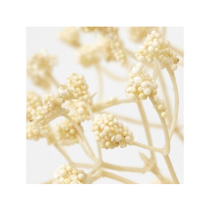 東京堂 造花 シュクレジプソ #37 CREAM FC878RB-FM001095-037-イメージ2