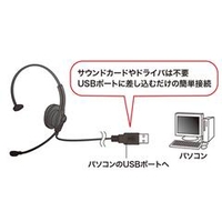 サンワサプライ MMHSU03BK USBヘッドセット ブラック|エディオン公式通販