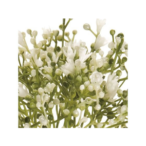 東京堂 造花 プリマジプソバンドル WHITE 3本 FC878RC-FM004761-イメージ2