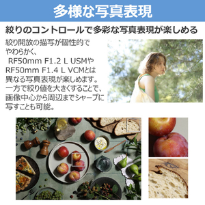 キヤノン 単焦点 標準レンズ RF45mm F1．2 STM RFレンズ RF4512STM-イメージ7